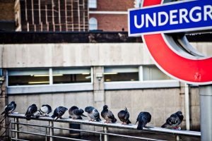 Where Londoners Actually Go to Escape the July Crowds