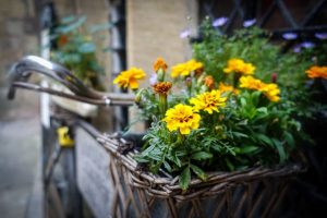 Things to Do in Oxford: A Complete Guide